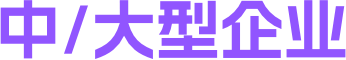 中/大型企业